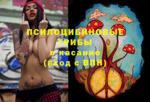 синтетический гашиш Горнозаводск