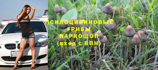 спайс Горно-Алтайск