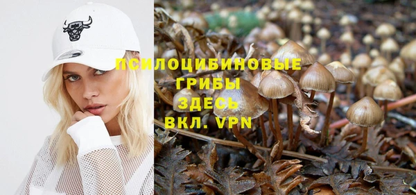 синтетический гашиш Горнозаводск